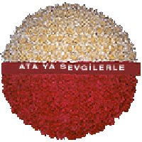 arma anitkabire - mozele iin Ankara Kzlcahamam online iek gnderme sipari 