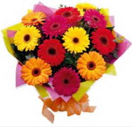 15 adet gerbera ieinden buket