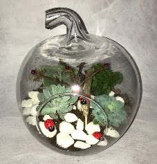 Kk terrarium elma 3 kakts Ankara Kzlcahamam hediye iek yolla 