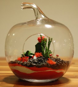 Elma Terrarium 3 kakts orta boy Kzlcahamam ankara iek siparii iek gnderme 