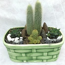 Seramik ierisinde 5 kaktsl terrarium Ankara Kzlcahamam online iek gnderme sipari 