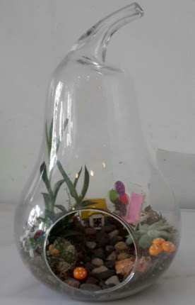 Orta boy cam armut terrarium Ankara Kzlcahamam 14 ubat sevgililer gn iek 