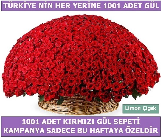 1001 Adet krmz gl Bu haftaya zel Kzlcahamam iek siparii vermek 