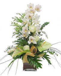 Ankara Kzlcahamam hediye iek yolla  cam vazo ierisinde 1 dal orkide iegi