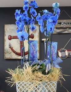 4 dall zel mavi orkide Ankara Kzlcahamam iek sat online ieki , iek siparii 